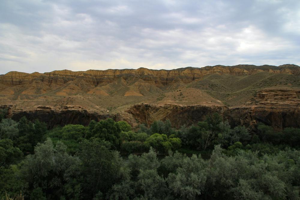 Magiske 10 ørken- og kløftrejser, du ikke må gå glip af!